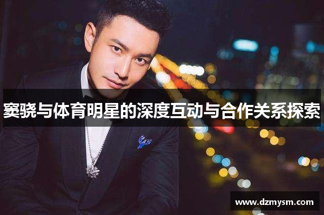窦骁与体育明星的深度互动与合作关系探索