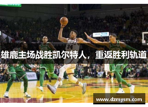 雄鹿主场战胜凯尔特人，重返胜利轨道